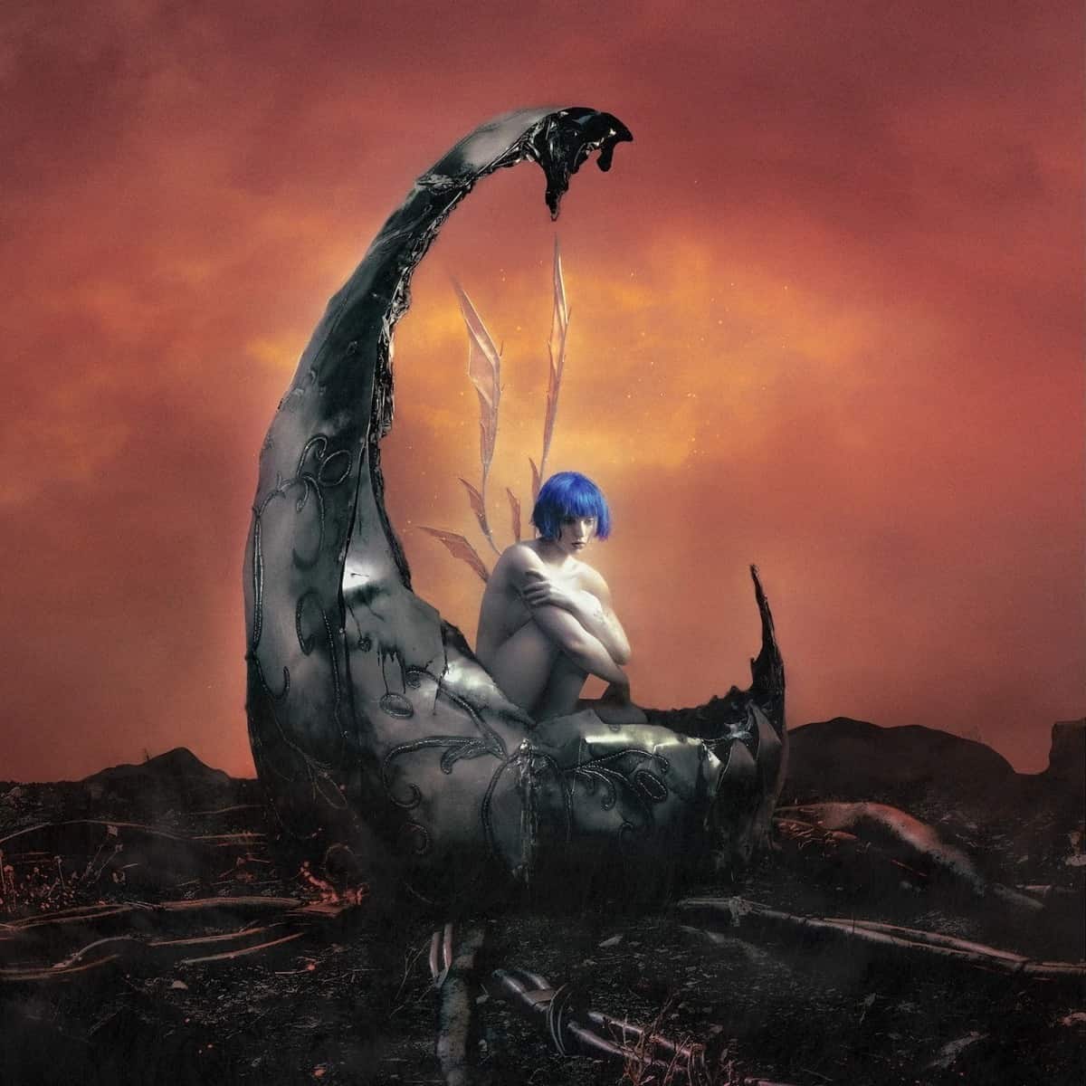 wk