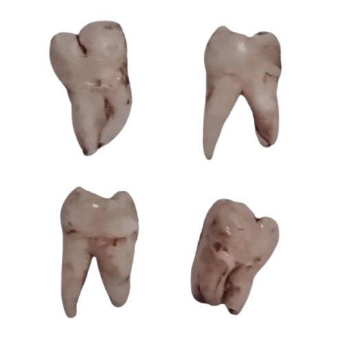 i026's Wisdom Teeth