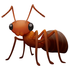 ant